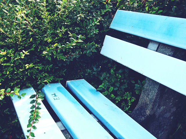 坚定了自己 坚定了自己