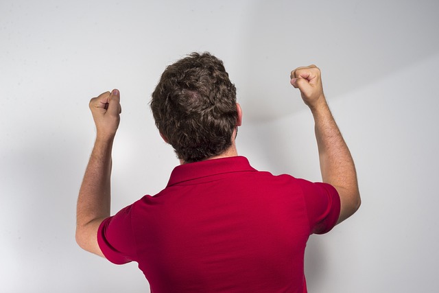 在高水平的 在高水平的