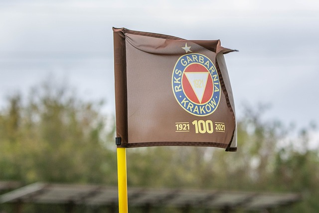 的出色表现 的出色表现