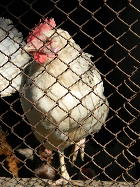 的管理团队 的管理团队