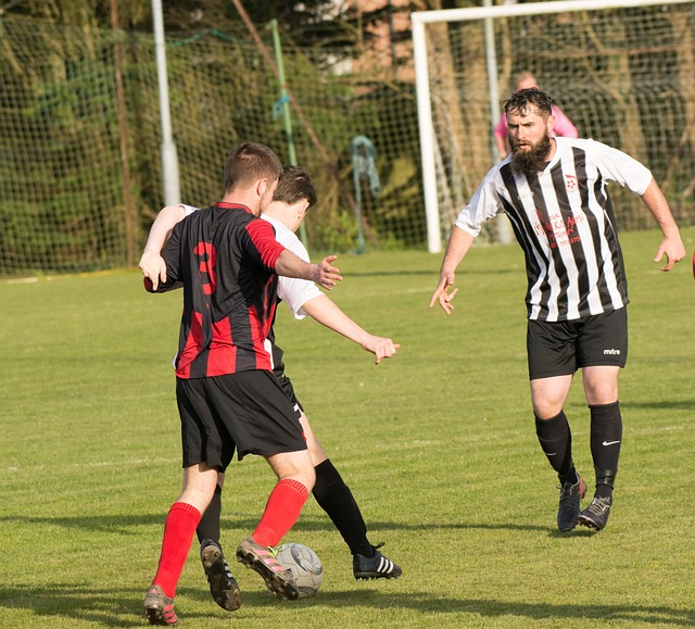 花椰菜這麼 花椰菜這麼